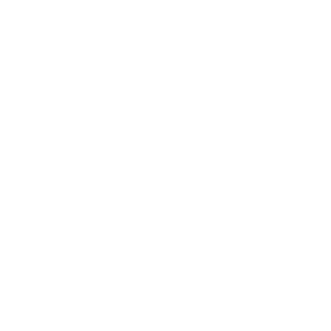 Software Development